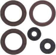 Vertex Engine Oil Seal Kit Can 822002