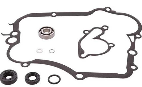 Vertex Water Pump Rebuild Kit 8210008