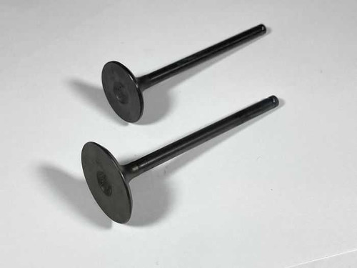 SHINDY Engine Valve Set Trx250Te/Tm (02-20) 07-032