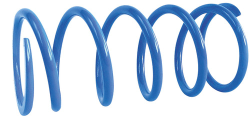 EPI Epi Performance Clutch Spring CAPS3