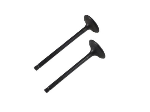 SHINDY Engine Valve Set Yfm660F/R 07-313