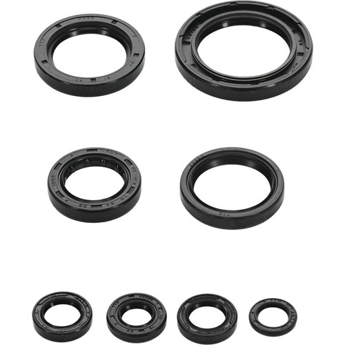 VERTEX Engine Oil Seal Kit 822996