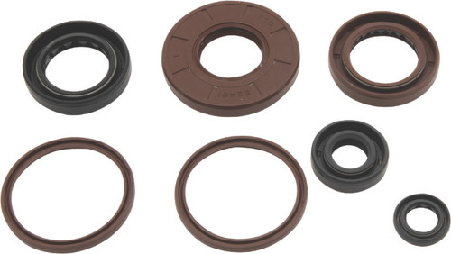 QuadBoss Oil Seal Set 564643