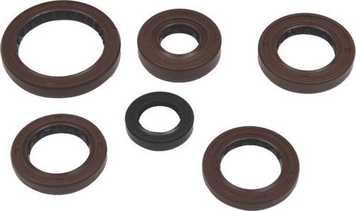 QuadBoss Oil Seal Set 564595