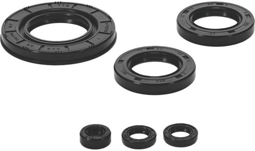 QuadBoss Oil Seal Set 564788