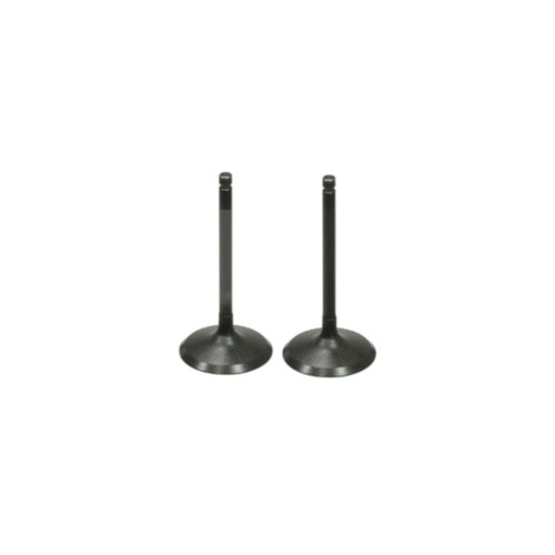 Bobcat UV34XL 1000 SOHC Exhaust Valve Kit 2019-2026