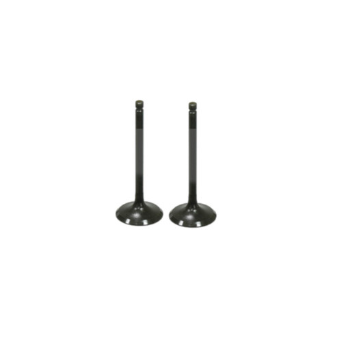 Bobcat UV34XL 1000 SOHC Intake Valve Kit 2019-2026