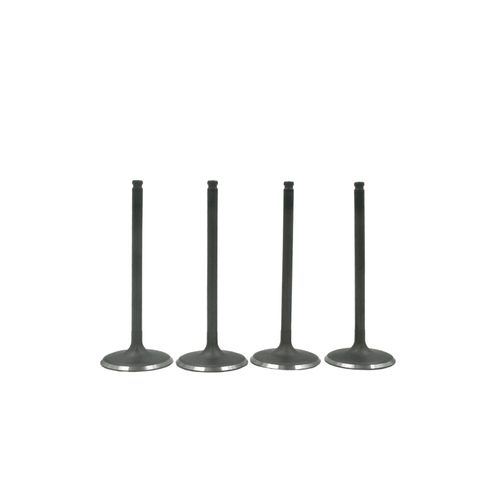 Can-AM Defender HD10 Intake Valve Kit (2016-2017)