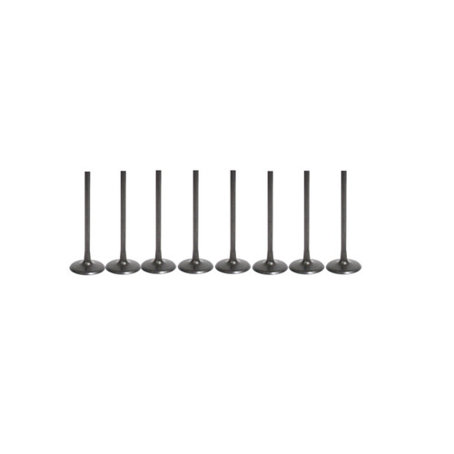 Kawasaki 2020-2026 STX 160 Jet Ski Intake Valves Kit