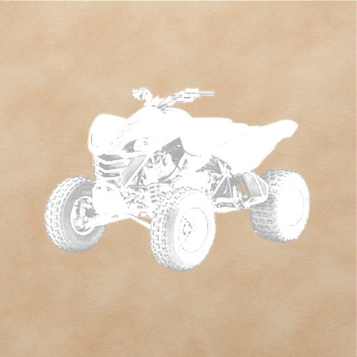 Kawasaki KFX700 Exhaust Valve Kit