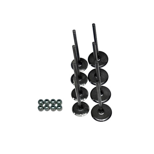 Kawasaki Mule Pro-FX 1000 HD Complete Valve Kit