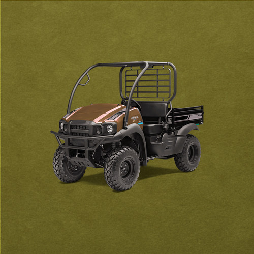 Kawasaki Mule SX KAF400 Exhaust Valve