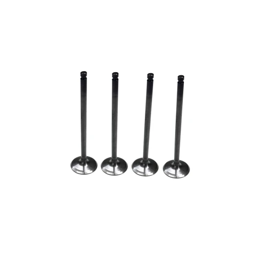 Kawasaki Prairie 650 2002-2003 Intake Valve Kit