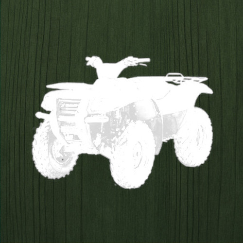 Kawasaki Prairie 700 KVF700 Master Engine Refresh Kit