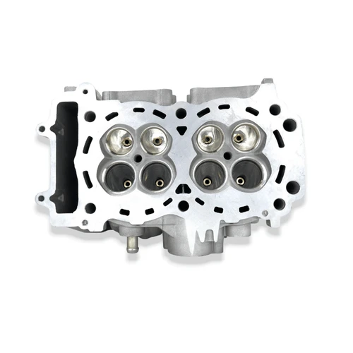 Polaris RZR/Ranger 900/1000 Cylinder Head CNC Porting Service 15HP
