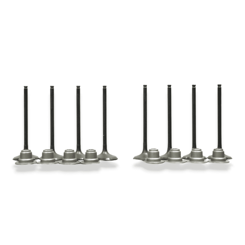 Polaris 2019-2021 Ranger XP 1000 NorthStar Complete Valve Kit