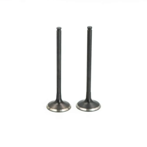 Polaris Ranger 1000 SOHC Exhaust Valve Kit