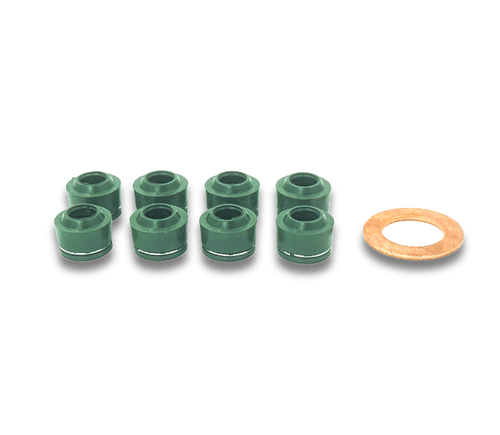 Polaris RZR/Ranger 900 High Temp Valve Stem Seal Kit (2011-2012 )