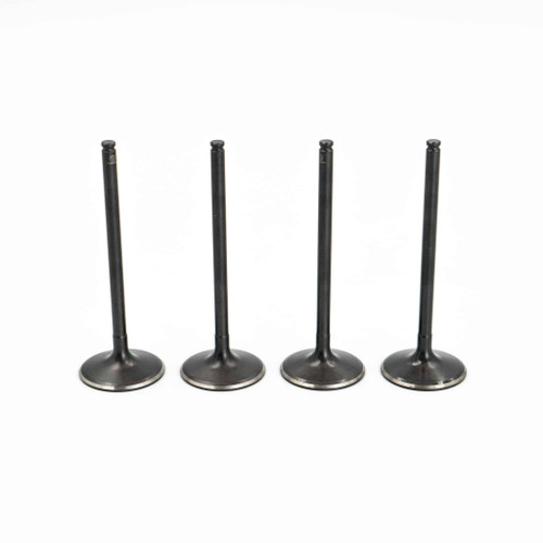 Polaris RZR 900 Intake Valve Kit (2015-2024)