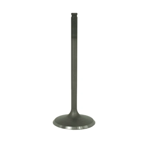 Polaris RZR Pro S Sport Premium Ultimate 2025-2026 Intake Valve