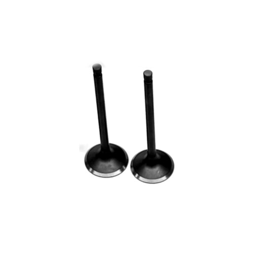 Polaris Sportsman 550 (2009-2014) Intake Valve Kit