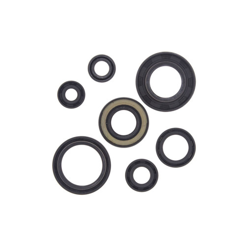 Yamaha Blaster 200 YFS200 Engine Oil Seal Set 1988-2006