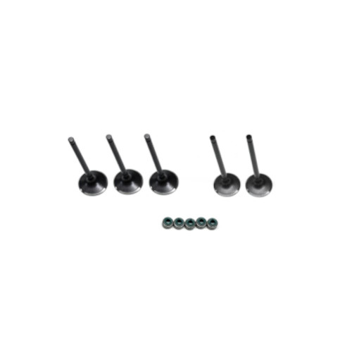Yamaha Grizzly 660 Complete Valve Kit 2002-2008