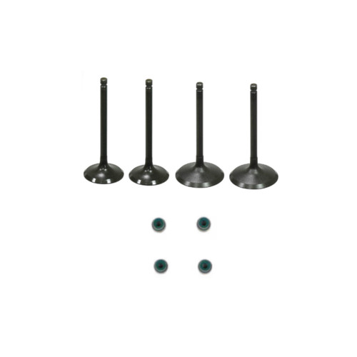 Yamaha Grizzly 700 Complete Valve Kit 2016-2018