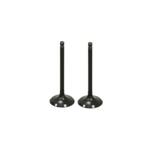 Yamaha Grizzly 700 Intake Valve Kit 2016-2018