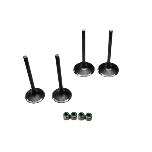 Yamaha Rhino 700 Complete Valve Kit
