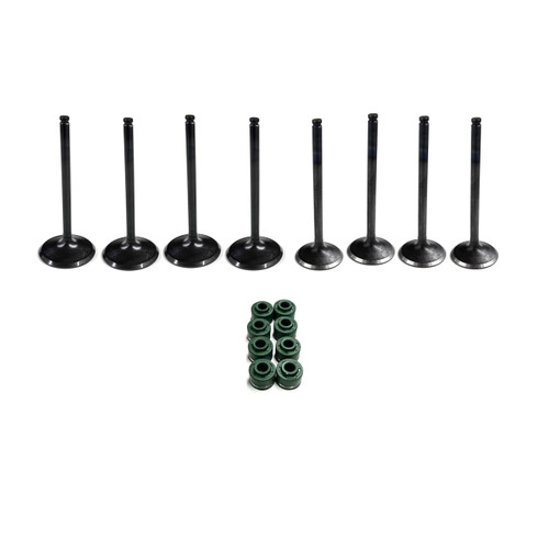 Yamaha RMAX 1000 2/4 Complete Valve Kit