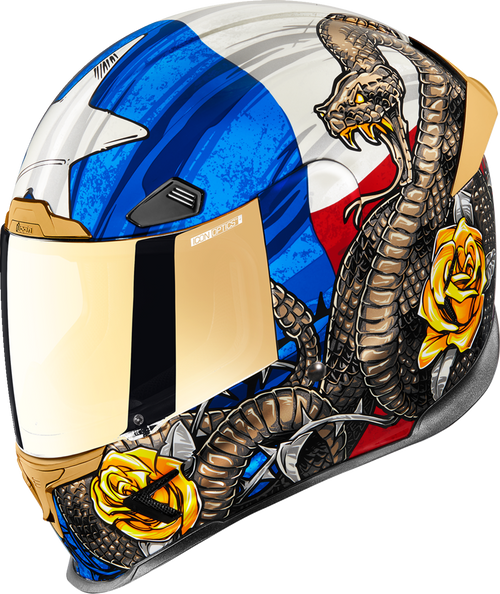 Icon Airframe Pro Helmet - Tejas Libre - Glory - Large 0101-16020