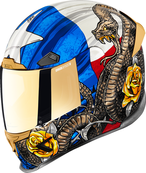 Icon Airframe Pro Helmet - Tejas Libre - 2Xl 0101-16022