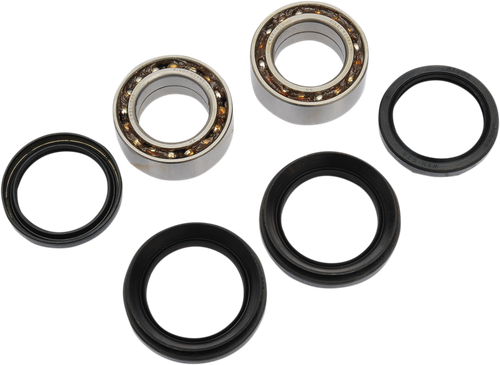 Pivot Works Wheel Bearing Kit - Front - Trx300Fw PWFWK-H20-003