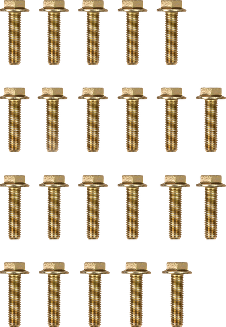 Moose Offroad Beadlock Bolts - Replacement - 544X - Pack RBYZ-8X30-109-PK