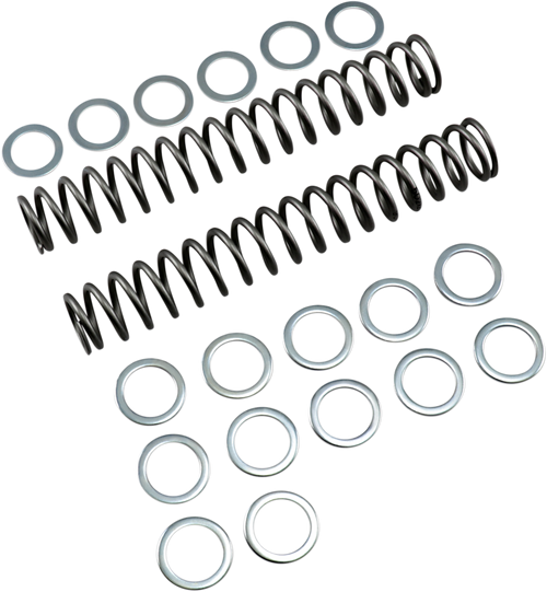 Race Tech Fork Springs - 0.90 Kg/Mm FRSP S3825090