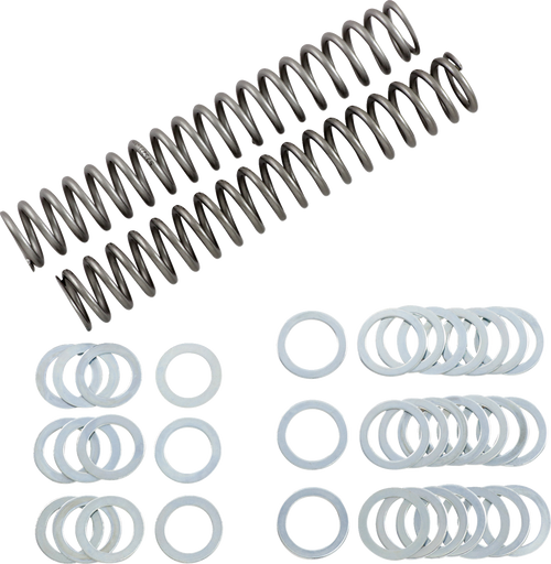 Race Tech Fork Springs - 1.10 Kg/Mm FRSP S3825110