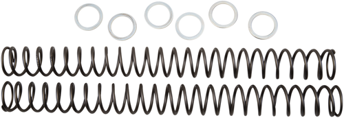 Race Tech Fork Springs - 0.38 Kg/Mm FRSP 444538