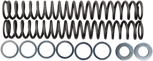 Race Tech Fork Springs - 1.10 Kg/Mm FRSP S4430110