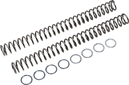 Race Tech Fork Springs - 0.54 Kg/Mm FRSP 454754