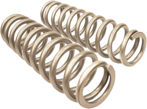 High Lifter Shock Springs - Rear - Silver 79-13843