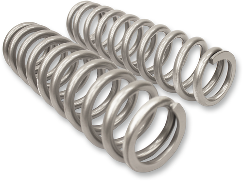 High Lifter Shock Springs - Rear - Silver 79-13832