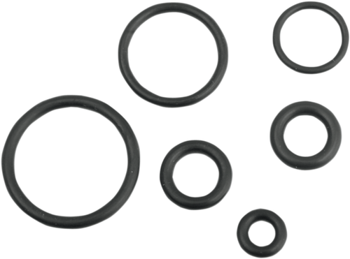 Drag Specialties Replacement Fuel Line O-Ring Kit - Efi 0706-0209