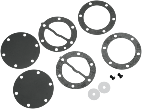 Vertex Fuel Pump Repair Kit 451455