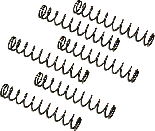 Feuling Parts Camplate Pressure Relief Spring - Twin Cam Engine Camplates '99-'17 8019