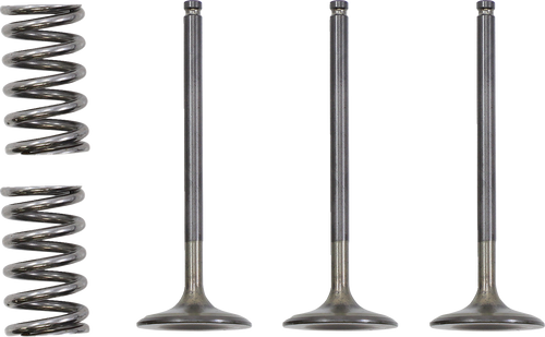 Prox Valve And Spring Kit - Intake - Gas Gas | Yamaha 28.SIS2424-2