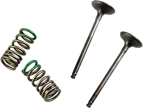 Prox Valve And Spring Kit - Exhaust - Gas Gas | Yamaha 28.SES2402-1