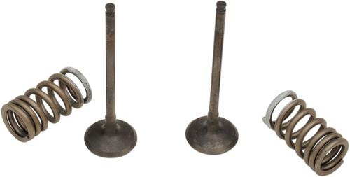 Prox Valve And Spring Kit - Exhaust - Suzuki 28.SES3338-1