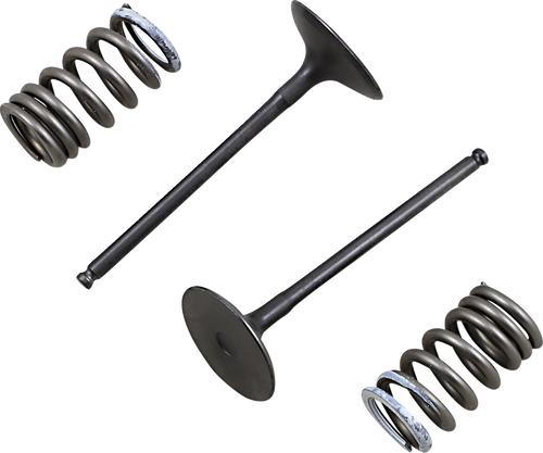 Prox Valve And Spring Kit - Intake - Suzuki 28.SIS3338-2