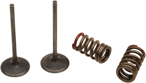 Prox Valve And Spring Kit - Intake - Kawasaki | Suzuki 28.SIS4335-2